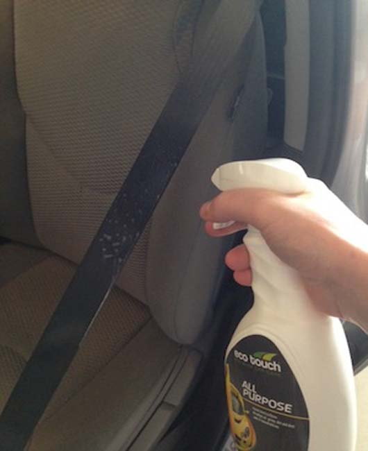 Spraying seat belt