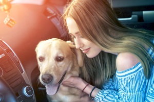 What is the Best Used Car to Buy for Big Dogs?