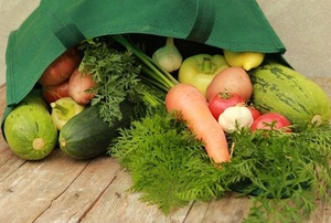groceries