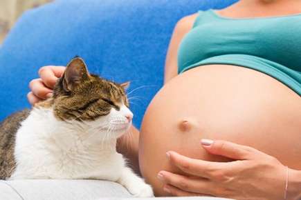 Image of a cat and pregnant lady.