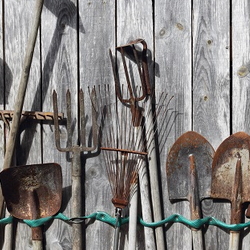 Natural Ways to Remove Rust From Antique Gardening Tools - Dave's Garden