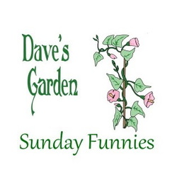 Sunday funnies logo