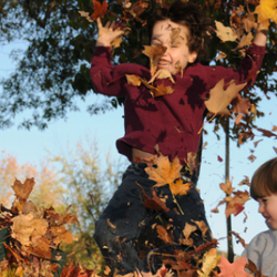 children playing in fallen leaves