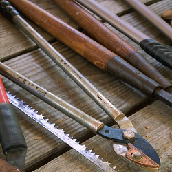 Bladed Garden Tools on Wood Table