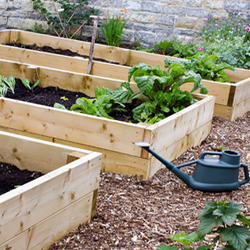 Advanced Gardening Goals: Create a Raised Bed Planter - Dave's Garden