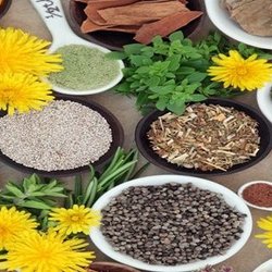 Various dried herbs in bowls