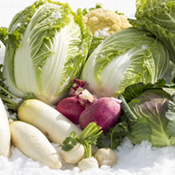 Vegetables on Snow