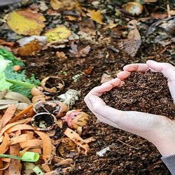 Hands holding compost