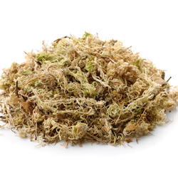 Mound of Dried Sphagnum Peat Moss