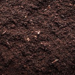 soil
