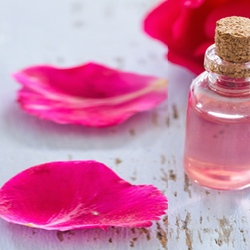 Corked jar of rose water with pink petals