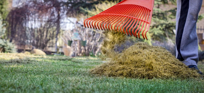 grass clippings on lawn