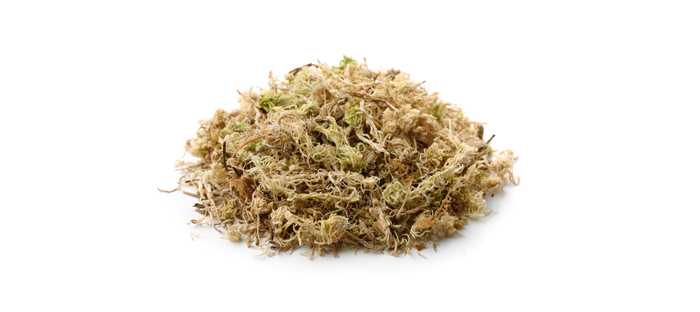 Mound of Dried Sphagnum Peat Moss