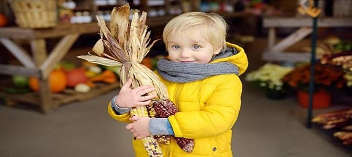 Child holding Indian corn