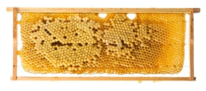 The Benefits Of Eating Honeycomb Explained - Revive A Bee