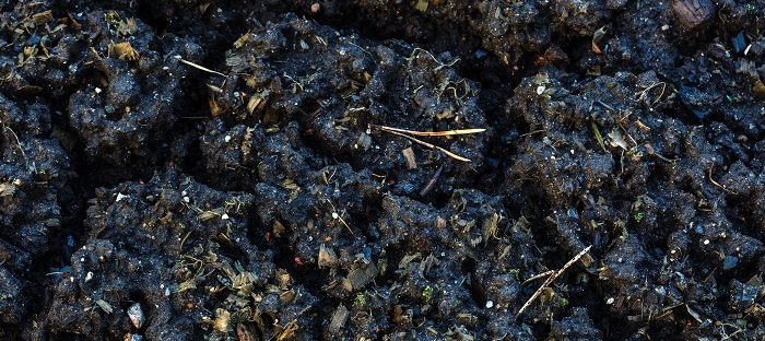 An image of moist soil.