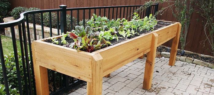 What to plant in a garden table