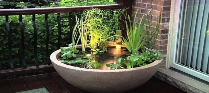 Water Shortage Make A Mini Pond Dave, Patio Water Garden Containers