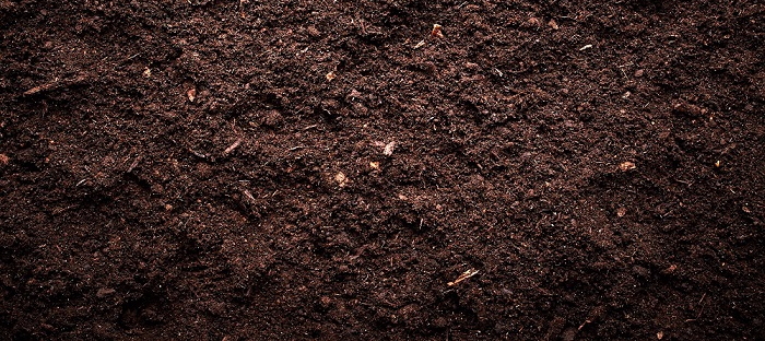 How To Tell If Your Soil Is Nutrient Depleted Dave S Garden