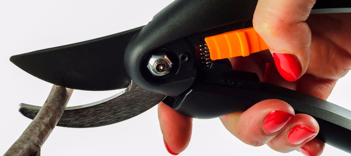 A pair of hand pruning shears.