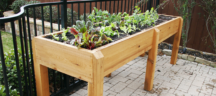 Advanced Gardening Goals Create A Raised Bed Planter Dave S Garden