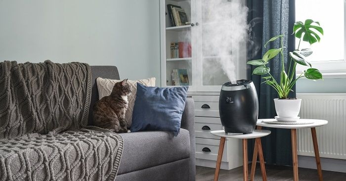 humidifier in a room with cat