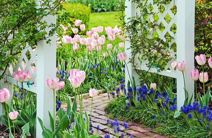 make sure to secure your trellises before the heavy winds arrive