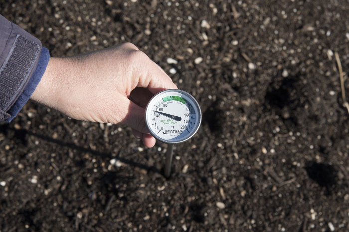 hand holding a thermometer in the soil