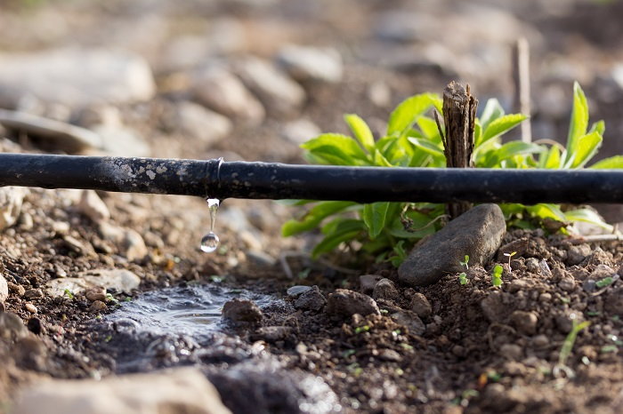 consider installing a drip irrigation system in your square foot garden