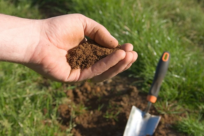 How to Tell if Your Soil Is Nutrient Depleted - Dave's Garden