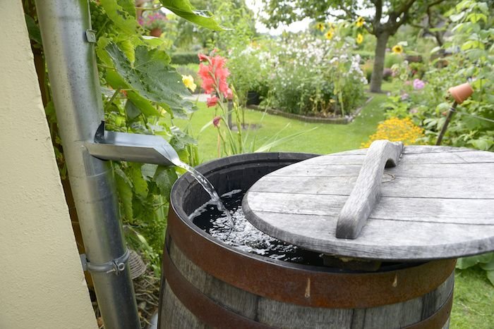 rain barrel 