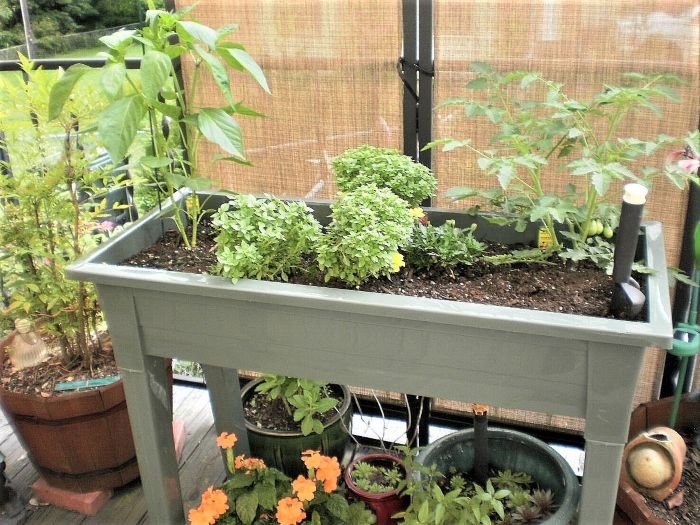 Deck Gardening Dave's Garden