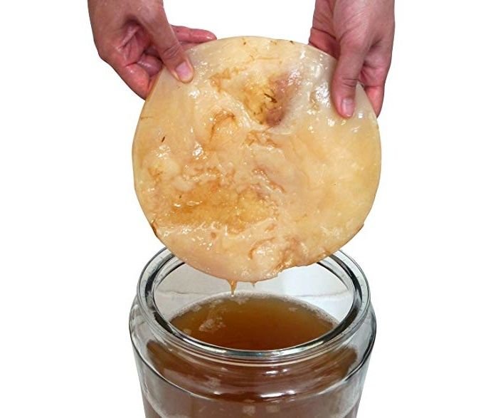 Kombucha Scoby Candy Recipe