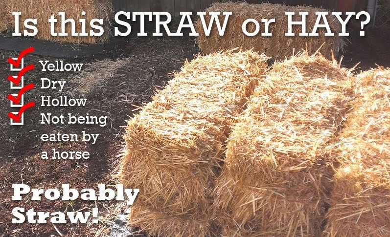 What is the Difference Between Hay and Straw?