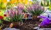 9 Ways to Make Your Front Yard Look Better in a Day