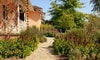 Water Wise Advice From a Sustainable Landscaper