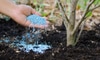 How to Use Fertilizer in Your Yard to Prep for Spring