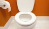 The Advantages of Padded Toilet Seats