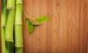 Three Ways To Grow Bamboo