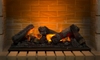 What to Burn in Your Fireplace