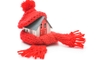 A house wrapped up in a scarf and hat. 