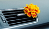 orange and yellow flower in vehicle's air vent