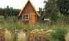 Playhouse in a yard with wild flowers.