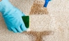 How to Clean Carpet Using Bleach
