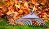 7 Ways to Use Fall Leaves on Your Lawn or Garden