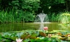 A floating pond fountain.