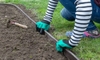 How to Install Lawn Edging