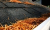 Are Your Gutters Contributing to Roof Damage?