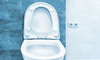 How Long Does a Low Flush Toilet Last?