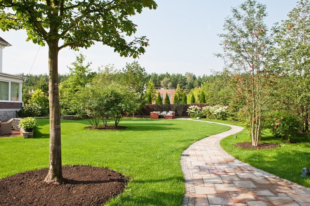 A landscaped area with a walking path and trees. 